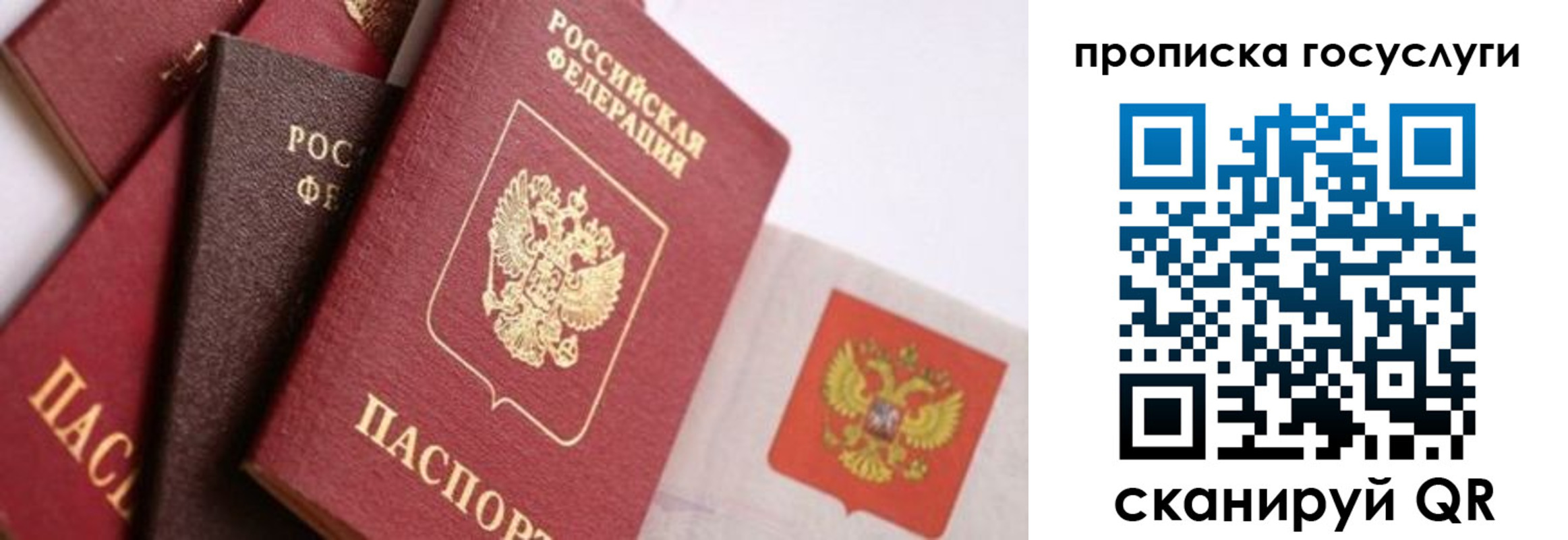 прописка ребенка в Магадане
